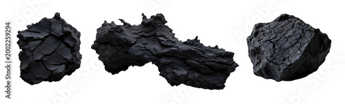 A close-up studio shot captures a piece of charcoal against a plain transparent background