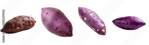 A singal Purple sweet potato whole, placed on white surface, winter root vegetable