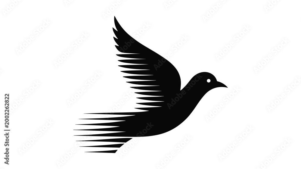 Fototapeta premium Keywords black and white of a soaring bird with detailed wingspan flight silhouette