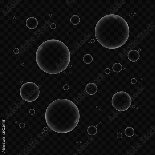 Transparent Realistic Soap Bubbles Isolated on Dark Background