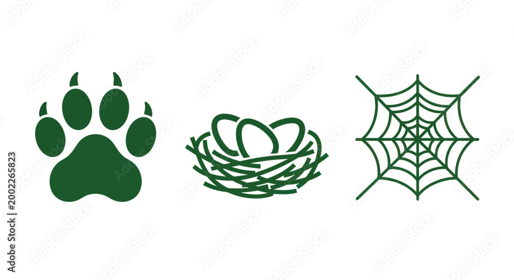 Fototapeta premium Green animal paw print, bird nest, and spider web icons on white background for nature and wildlife concepts