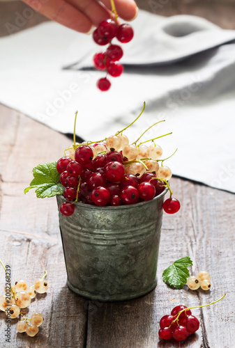 White and red currants in a metal bucket on a wooden background.