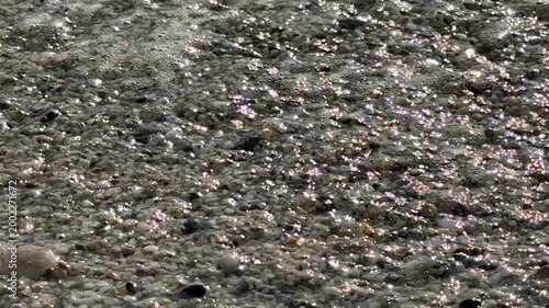 Pebble beach close-up with various small stones and sparkling water in sunlight, suitable as background