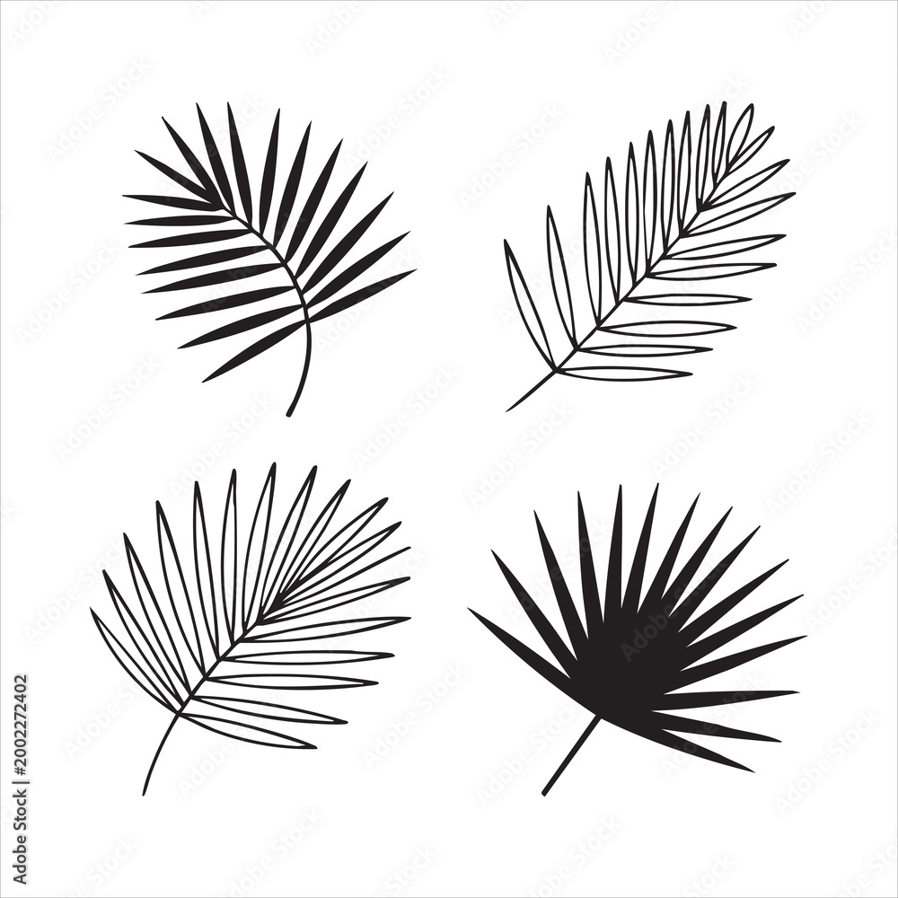 Fototapeta premium Set of four different palm leaf designs, tropical foliage vector illustration, outline and silhouette style.