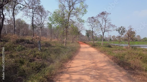 Hiking path in a forest with bare trees and red dirt trail located near a body of water in broad daylight