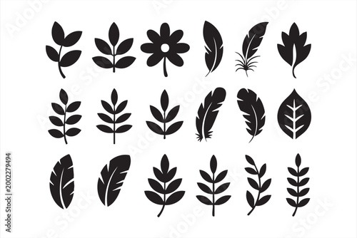 Bild auf Leinwand Set of black leaves, feathers, and floral elements collection isolated on white background