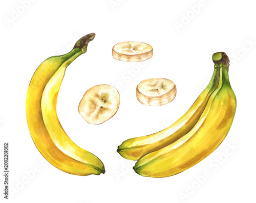 Botanical set with ripe yellow bananas and fresh slices. Watercolor illustration with a single curved fruit, a double cluster, and three rounds slices on a isolated background. For seamless pattern