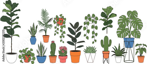 Large collection of various indoor houseplants and tropical greenery in colorful pots including monstera deliciosa fiddle leaf fig and cactus for interior design decor.