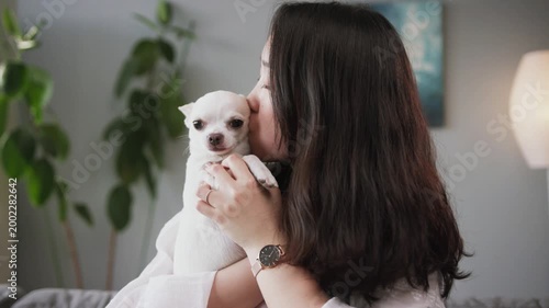 Beautiful young Chinese woman kissing lovely dog. Ancient breed. Dogtime. White Chihuahua and female owner spending time together. Indoors.