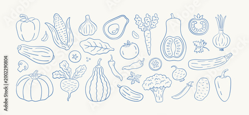Doodle vegetable set. Set of different vegetables in a linear style