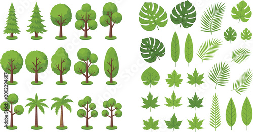 Green nature collection set with pine palm deciduous trees and tropical monstera palm maple leaves isolated on white background vector illustration