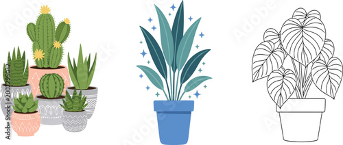 Indoor potted plant collection with cactus succulents decorative houseplant and outline coloring page style on white background vector illustration