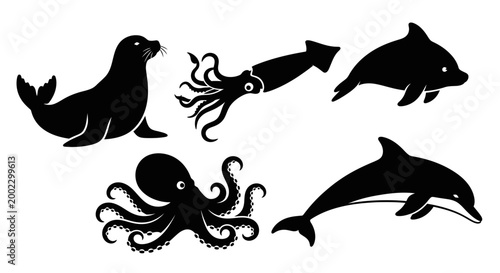 Marine Animals Silhouettes Set: Seal, Dolphin, Octopus, and Squid Vector Icons