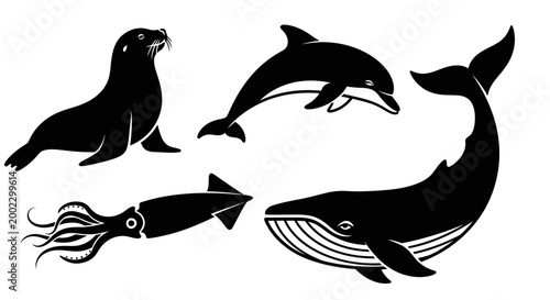 Marine Animals Silhouettes Set: Seal, Dolphin, Whale, and Squid Vector Icons