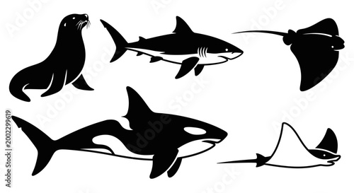 Marine Animals Silhouettes Set: Seal, Shark, Orca, and Rays