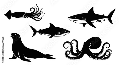 Marine Animals Silhouettes Set: Shark, Octopus, Squid, and Seal