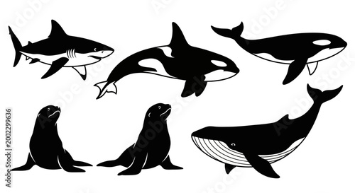 Marine Animals Silhouettes Set: Shark, Orca, Whale, and Seals Vector Icons