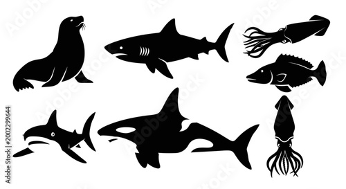 Marine Animals Silhouettes Set: Shark, Whale, Seal, Squid, Fish Vector Illustration