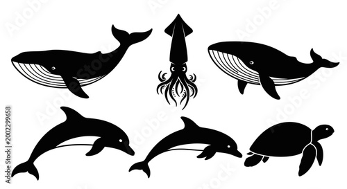 Marine Animals Silhouettes Set: Whale, Dolphin, Squid, and Sea Turtle Icons