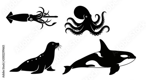 Marine Animals Silhouettes Set: Squid, Octopus, Seal, and Orca Vector Icons