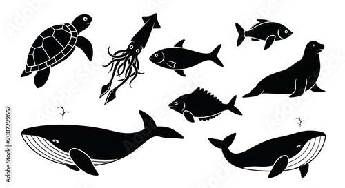 Marine Animals Silhouettes Set: Whale, Turtle, Fish, Squid, and Seal Icons