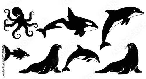 Marine animals silhouettes set. Orca, dolphin, octopus, shark, and seal vector collection