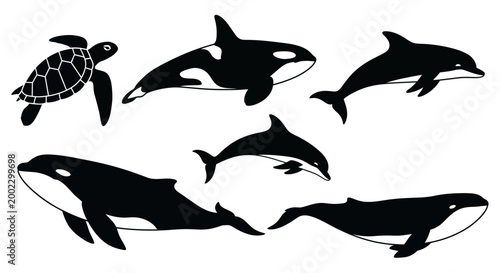 Oceanic Wildlife Silhouettes Set: Whale, Dolphin, Orca, and Sea Turtle Vector Collection