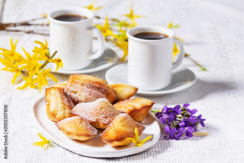 Madeleine Cakes with Coffee and Forsythia Flowers, Spring Dessert Table