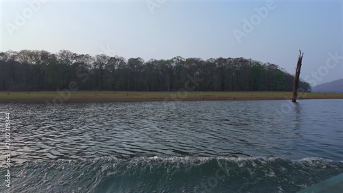 View of a river bank with trees and people gathering at dusk near a calm water body in a natural setting
