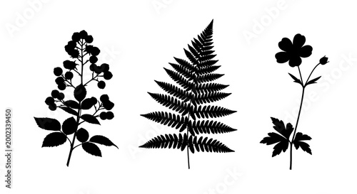 Silhouettes of delicate botanical elements: berries, fern, and a single flower.