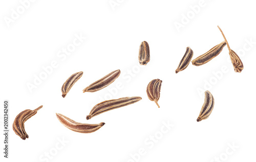 Group of dried cumin seeds isolated on a white background, macro. Caraway seeds.