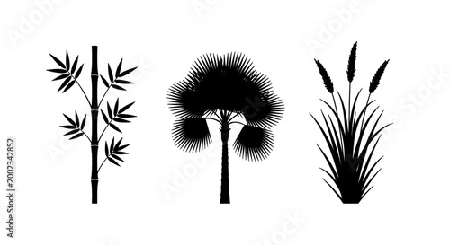 Silhouettes of diverse botanical elements: bamboo, a leafy tree, and reeds.