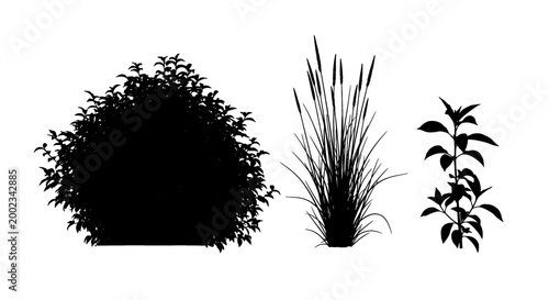 Silhouettes of lush green plants and tall reeds for natural landscape design.