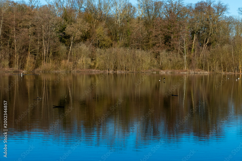 Obraz premium Erlachsee im Oberwald Karlsruhe in romantischer, einsamer Stimmung