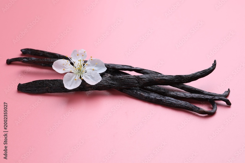 Fototapeta premium Aromatic vanilla pods and flower bud on pink background, closeup