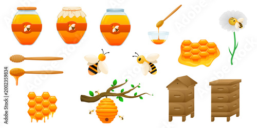 Honey set with bee hive dipper honeycomb and beekeeping elements