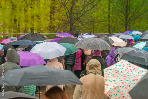 Crowd stands with umbrellas during rain at public event in city park, with people in hoods and jackets under trees. Concept of crowd, weather, gathering, protection, tourism, festival, urban life