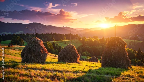 Harvest fields sunset