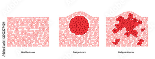 Cells structure sketch