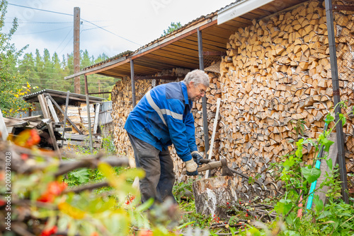 Lumberjack chopping branch with axe near wood stack. Mature man preparing firewood for winter. Manual labor in rural backyard. Traditional worker harvesting fuel for heating home.