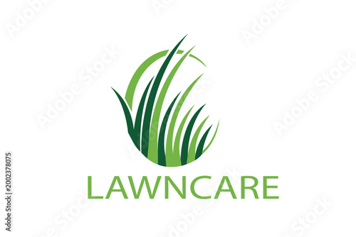 Lawn Care Service, Gardening Techniques, Residential Area, Infographic, Green Environment, Aerial View, Landscape Maintenance