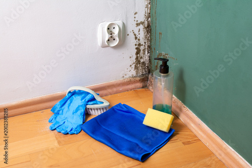 Cleaning supplies and gloves for removing toxic black mold from wall