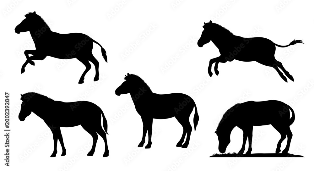 Fototapeta premium Silhouettes of animals in the savannah. African zebra. Set of different black isolated silhouettes of horses . African landscape and tropical background design element. Vector illustration
