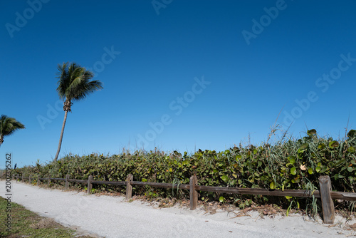 The path along the Jupiter Beach in Florida on a beautiful and warm winter afternoon
