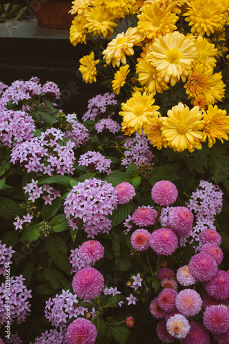 BOTANICAL GARDEN en new york city
