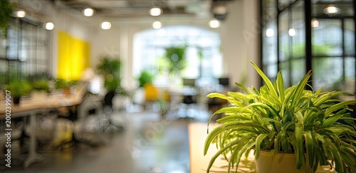 A bright and modern office space features a vibrant green plant in the foreground, creating a welcoming and productive atmosphere.