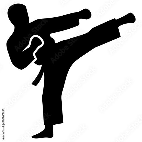 Konstfotografi Dynamic vector illustration depicting a powerful martial artist executing a high kick, perfect for sports, training, and self-defense graphic designs
