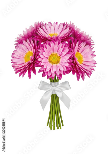 Vibrant Pink Daisy Bouquet with White Ribbon isolated on transparent background isolated on transparent background