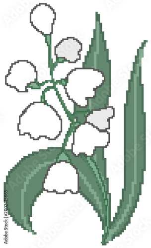 vector illustration of a cactus