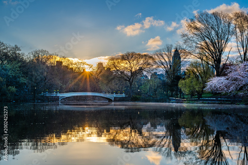 Bow Bridge at sunrise in Central Park, New York City, with spring cherry blossoms, sun rays through bare trees, and a mirror reflection on the calm waters of The Lake.
